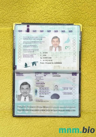Szwecja paszport nowy 2022-obecnie fotowygląd, skan i fotorealistyczny snapshot, 2 w 1